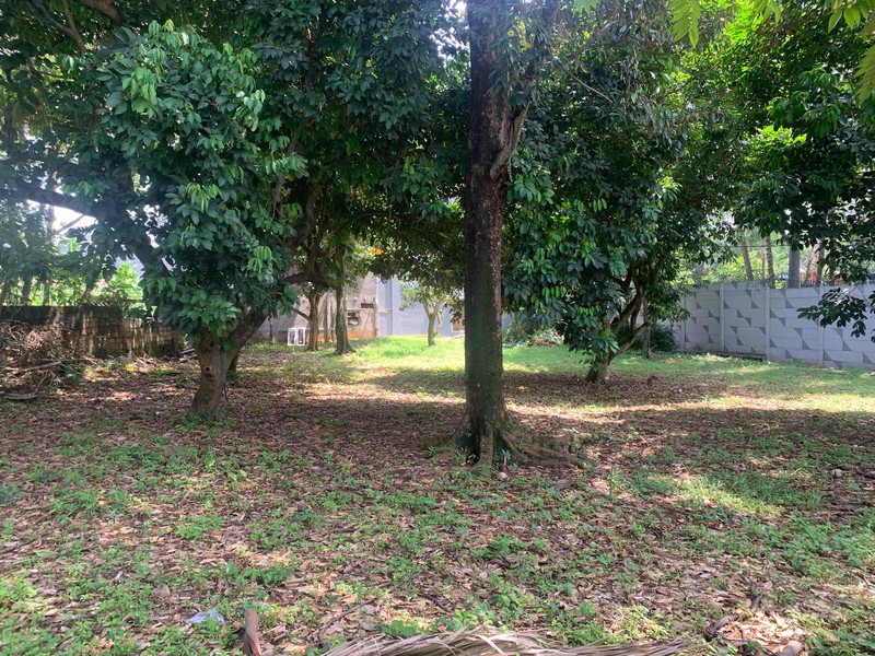 Kavling Siap Bangun Di Jl Deplu / Deplu Tengah Pesanggrahan Jakarta Selatan