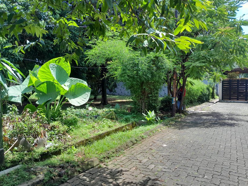 Kavling Siap Bangun Di Jl Deplu / Deplu Tengah Pesanggrahan Jakarta Selatan