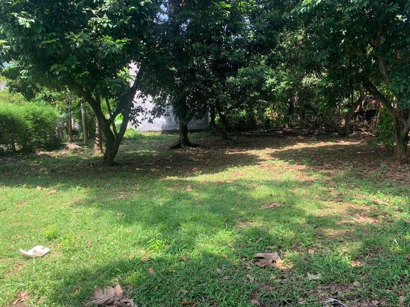 Kavling Siap Bangun Di Jl Deplu / Deplu Tengah Pesanggrahan Jakarta Selatan