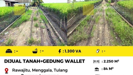 Dijual gedung sarang walet