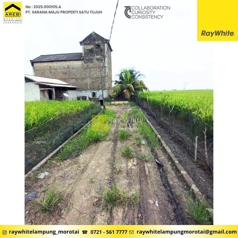 Dijual gedung sarang walet