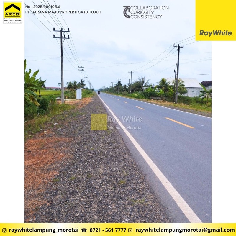 Dijual gedung sarang walet