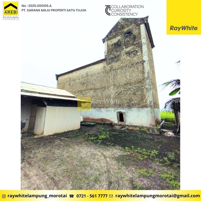 Dijual gedung sarang walet