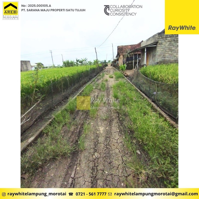 Dijual gedung sarang walet