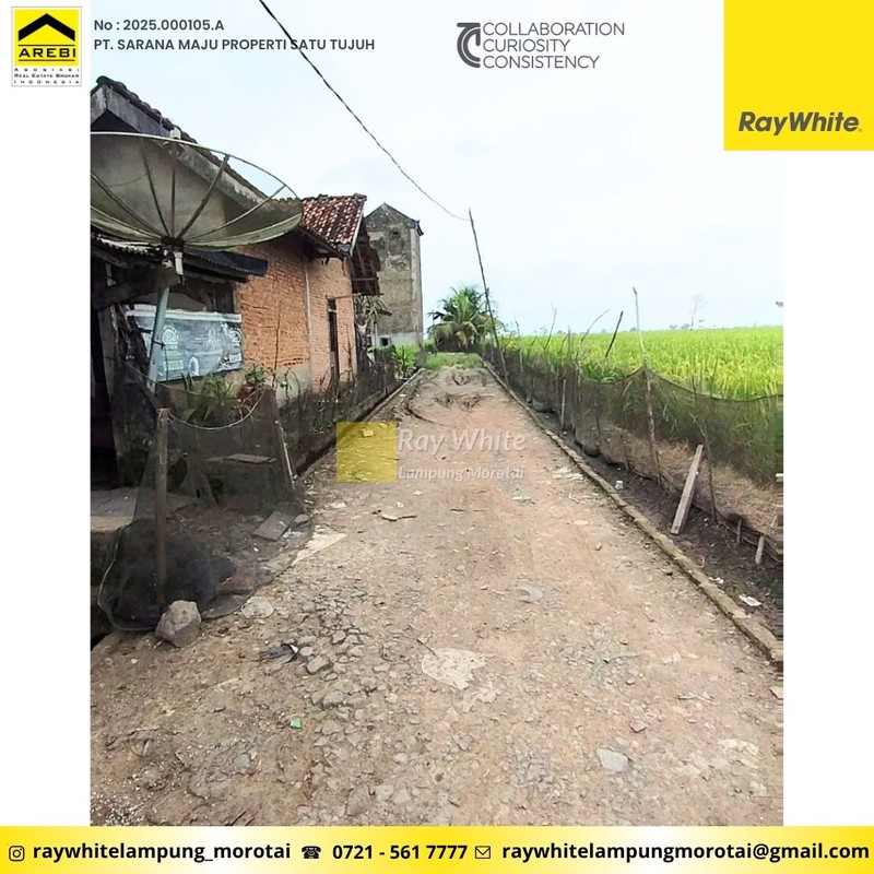 Dijual gedung sarang walet