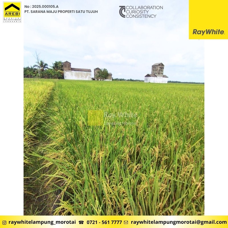 Dijual gedung sarang walet