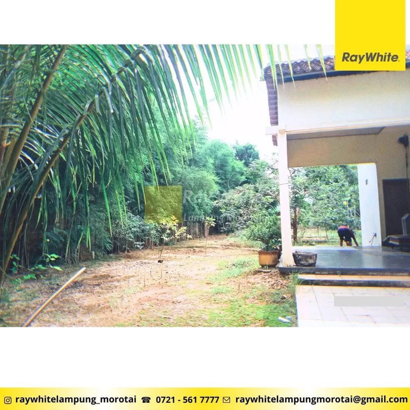 Dijual Rumah dan Gedung Walet, Gading Rejo, Pringsewu, Lampung