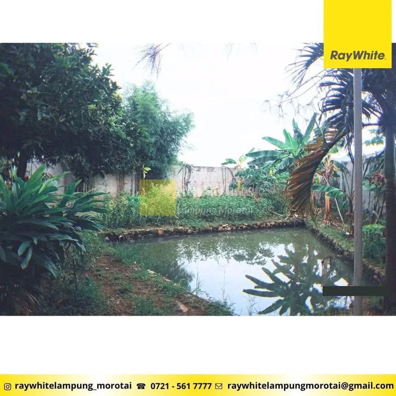 Dijual Rumah dan Gedung Walet, Gading Rejo, Pringsewu, Lampung