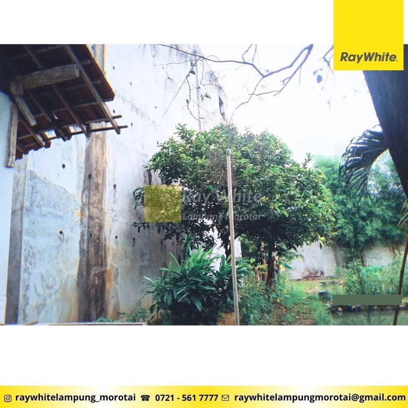 Dijual Rumah dan Gedung Walet, Gading Rejo, Pringsewu, Lampung