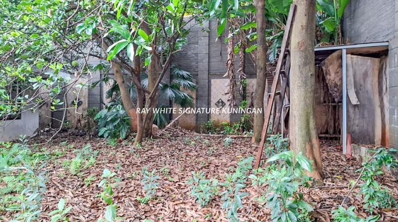 Dijual Rumah Asri Siap Huni Lingkungan Tenang dan Nyaman