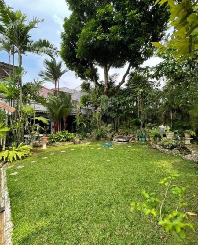 Dijual Rumah Klasik Lokasi Elite Menteng Jakarta Pusat Dekat Ke Jalan Thamrin Dan Sudirman.
