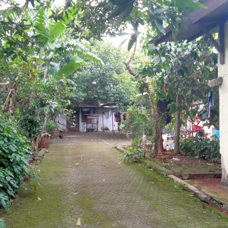 Kavling Komersil dan Lokasi Strategis Pinggir Jalan Raya @Jl Cendrawasih, Ciputat