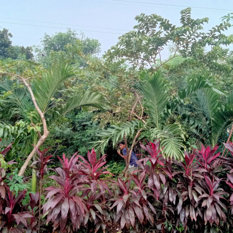 Kavling Komersil dan Lokasi Strategis Pinggir Jalan Raya @Jl Cendrawasih, Ciputat