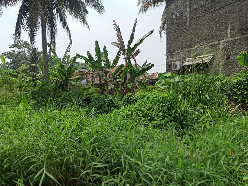 Kavling Siap Bangun Pinggir Jalan Raya dan Terdapat Bangunan Ruko @Cilauk, Ciomas, Bogor.