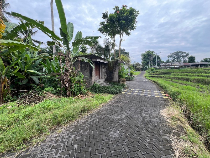Exceptional Leasehold Land in Ubud - 19 Are Prime Land with Peaceful "Jungle View" near Ubud Center