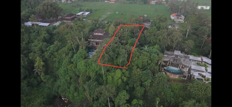 Exceptional Leasehold Land in Ubud - 19 Are Prime Land with Peaceful "Jungle View" near Ubud Center