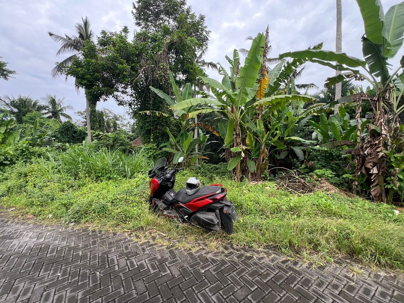 Exceptional Leasehold Land in Ubud - 19 Are Prime Land with Peaceful "Jungle View" near Ubud Center