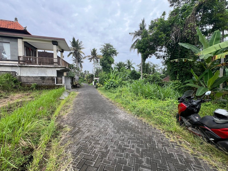 Exceptional Leasehold Land in Ubud - 19 Are Prime Land with Peaceful "Jungle View" near Ubud Center
