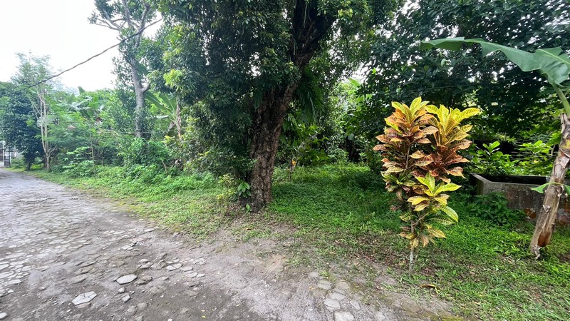 Disewakan Lahan Premium 700 Meter Persegi Condong Catur, Dekat JIH & Pakuwon,  Cocok Untuk Resto/Cafe