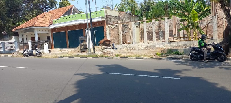 Tanah Bonus Rumah dan Ruang Usaha Lokasi Strategis Dekat Kantor Pemda Sleman 