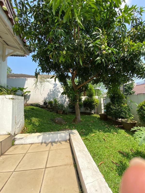 Rumah Luas Tanah 375 m2 & Nyaman di Cinere - Harga Nego