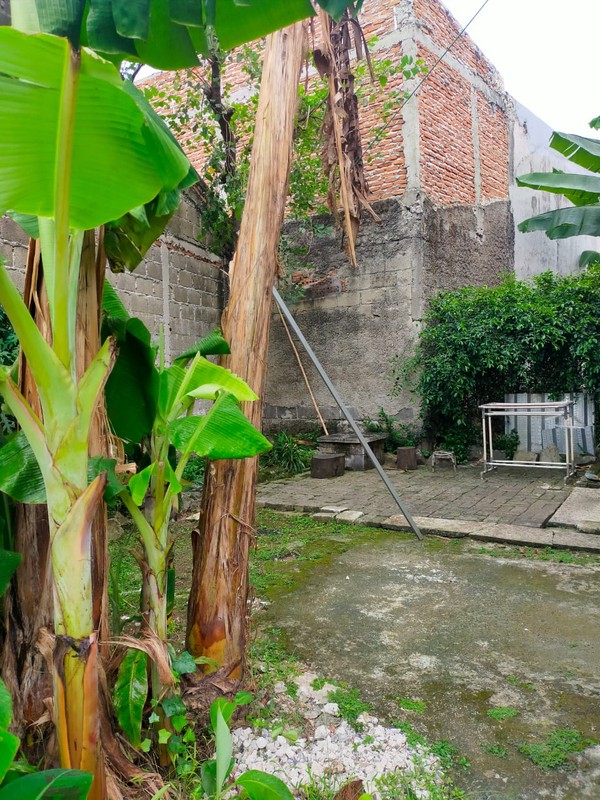 Dijual Kavling SHM Siap Bangun di Jl. Pondok Jagung, Gg. Fani Afandi - Lokasi Strategis!