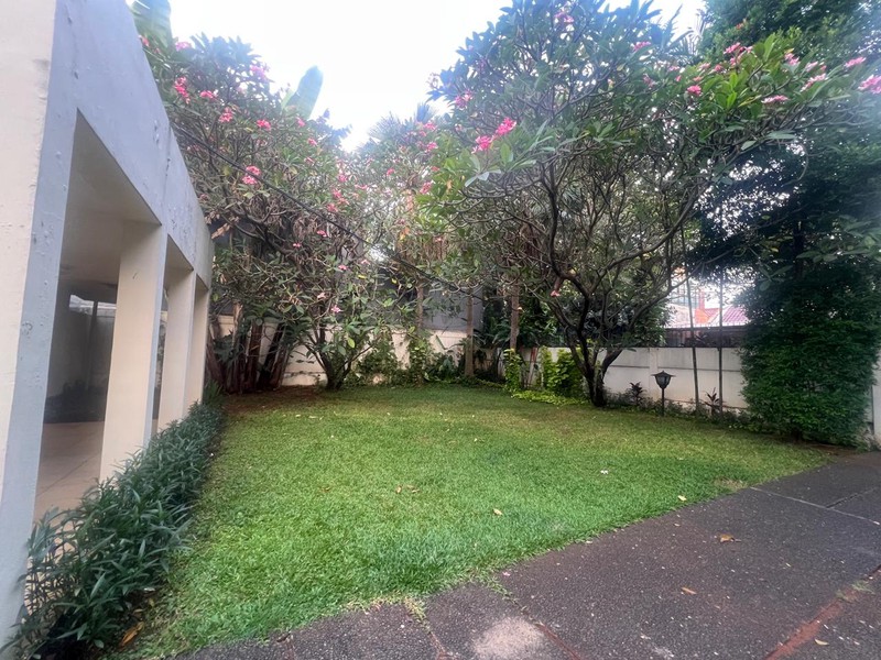 Single house one story with spacious yard with swimming pool at kemang dalam 