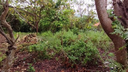 Peaceful and Strategic Location Land For Sale in Lovina