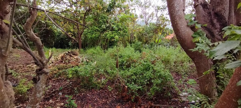 Peaceful and Strategic Location Land For Sale in Lovina