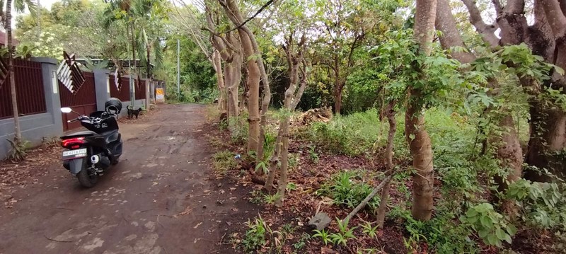 Peaceful and Strategic Location Land For Sale in Lovina