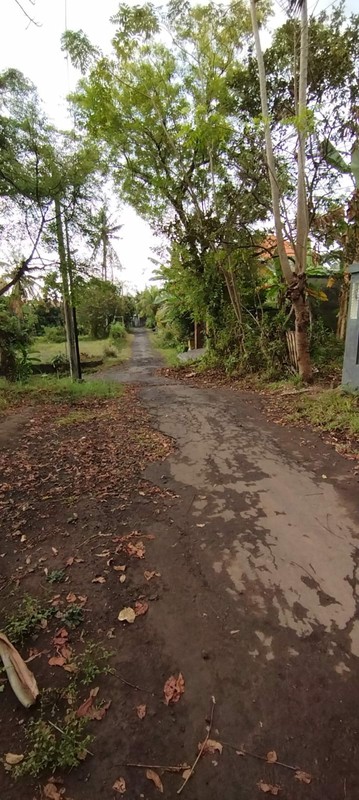 Peaceful and Strategic Location Land For Sale in Lovina