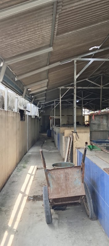 Dijual Pasar UMKM Bulak Jaya Pulogebang! 2300m2 Belakang Walikota Jaktim - Siap Kelola atau Dialihfungsikan!