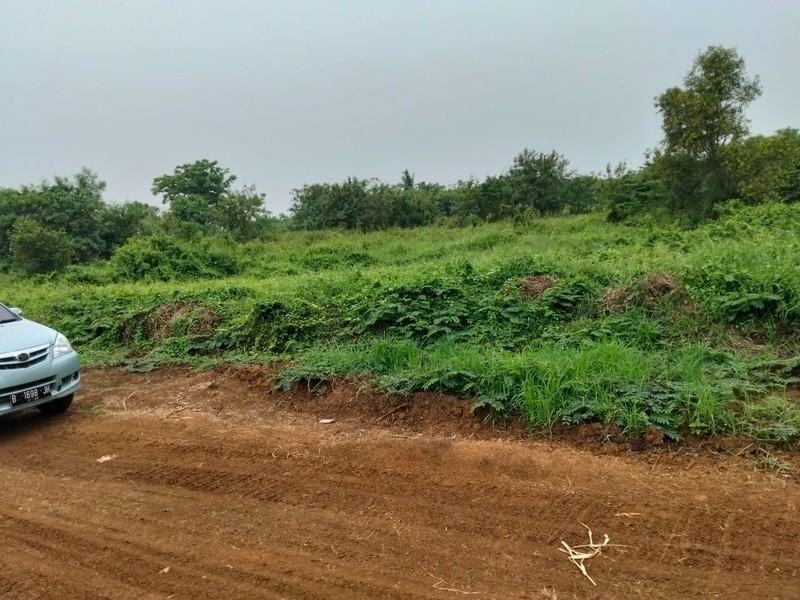 Kavling Kampung Jambu Rajeg, Tangerang