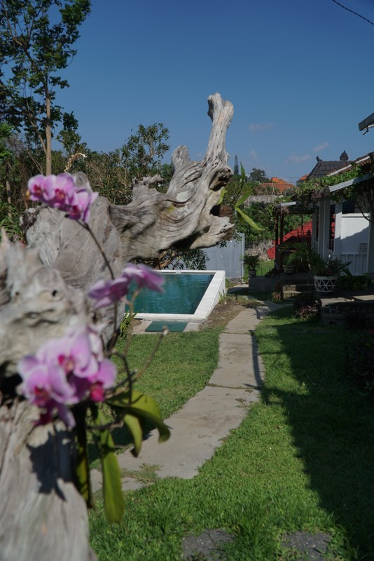 Leasehold - Tropical Oasis in Batu Mejan - 9 Bungalows with Pool & Garden, Canggu, Bali
