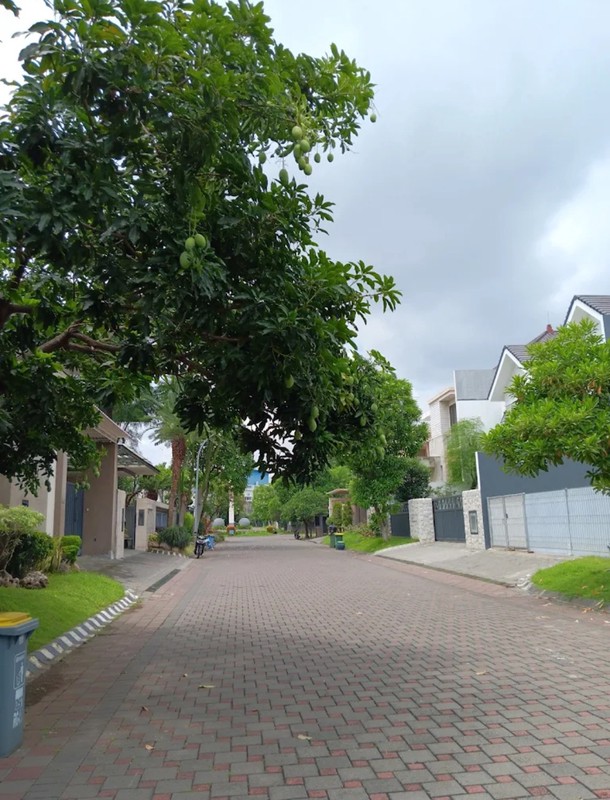 Disewakan Rumah The Chofa Plus Kolam Renang Private Pool - Full Furnished Dekat Sukomanunggal, Isen Darmo Harapan, Hokky Buah, Sekolah IPH, Pasar Modern Puncak Permai , Taman Hunian Satelit