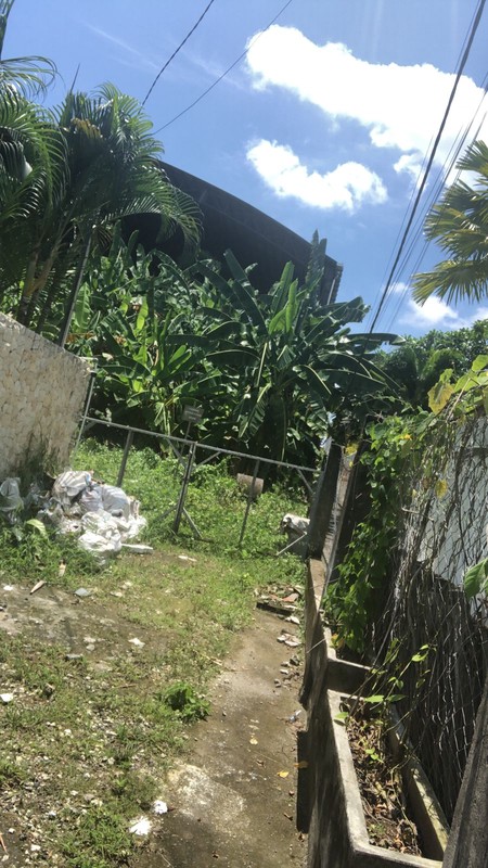 Land Leasehold In Great Location Batu Bolong Canggu Bali