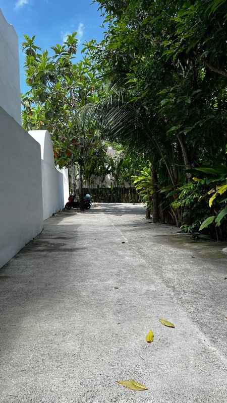 Land Leasehold In Great Location Batu Bolong Canggu Bali