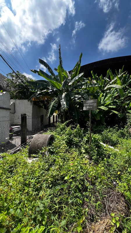 Land Leasehold In Great Location Batu Bolong Canggu Bali