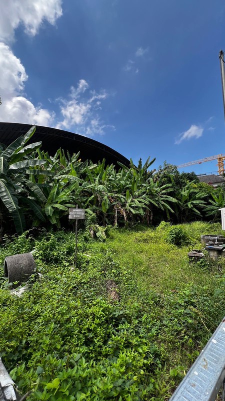 Land Leasehold In Great Location Batu Bolong Canggu Bali