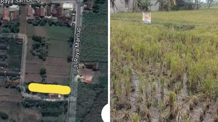 DIJUAL LAHAN DI NOL JALAN RAYA MANTUP LAMONGAN