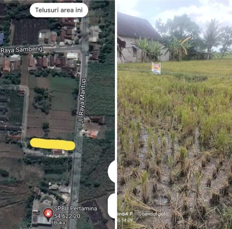DIJUAL LAHAN DI NOL JALAN RAYA MANTUP LAMONGAN
