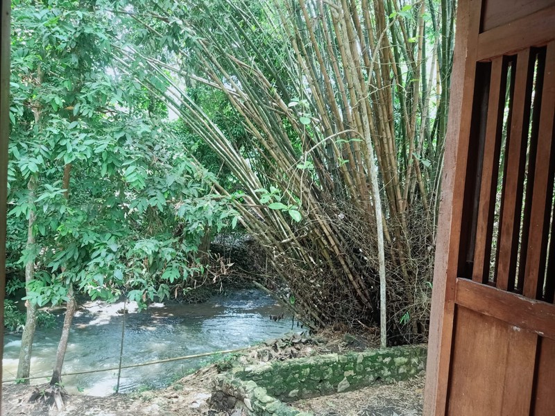 DIJUAL Rumah Kayu di Argorejo, Sedayu - Bantul