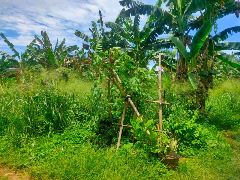 Kavling di Serua Ciputat Bisa Untuk Komersil Cocok untuk Padel