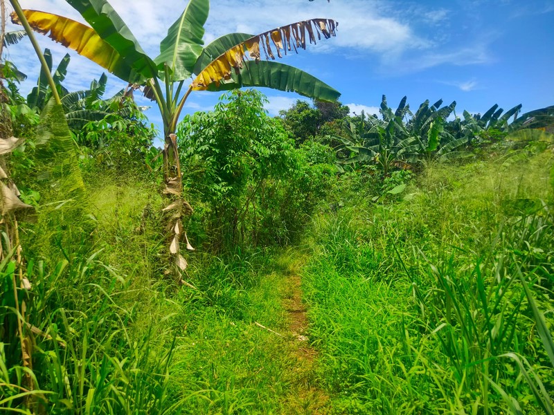 Kavling di Serua Ciputat Bisa Untuk Komersil Cocok untuk Padel