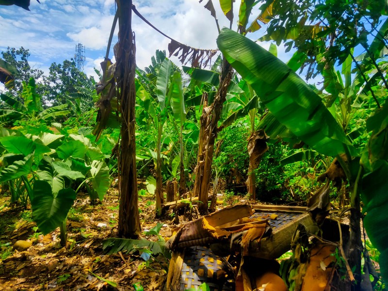 Tanah dalam kompleks Serua Ciputat, akses mudah Bintaro, BSD City