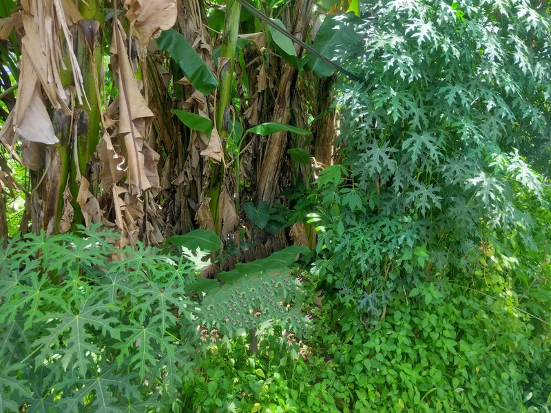 Kavling di Serua Ciputat Dalam Perumahan Dekat ke BSD dan Bintaro