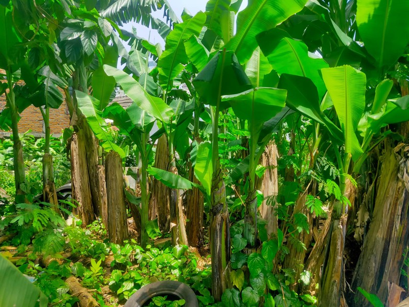 Kavling di Serua Ciputat Dalam Perumahan Dekat ke BSD