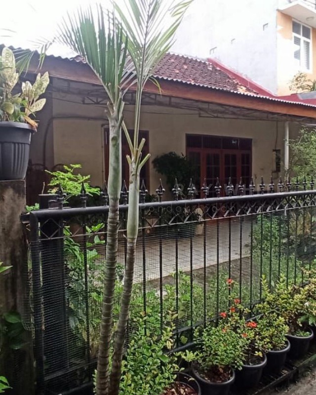 Dijual Rumah Hitung Tanah  Salemba Tengah - Jakarta Pusat, Dekat UI & RS St. Carolus  Harga di Bawah NJOP - Lokasi Super Strategis di Tengah Kota!