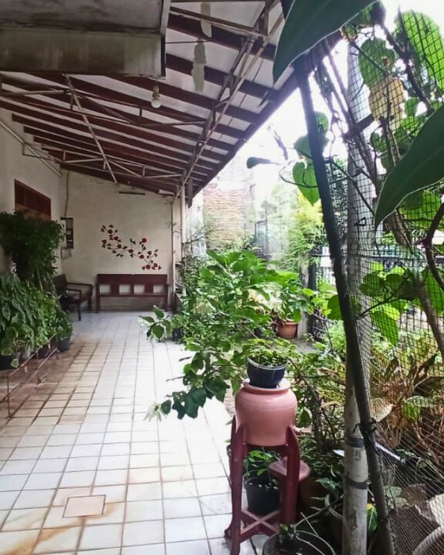 Dijual Rumah Hitung Tanah  Salemba Tengah - Jakarta Pusat, Dekat UI & RS St. Carolus  Harga di Bawah NJOP - Lokasi Super Strategis di Tengah Kota!