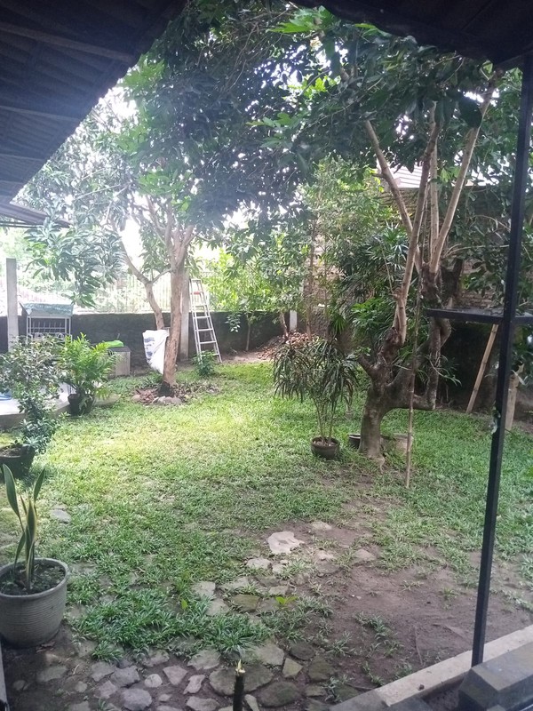 Investasi Rumah 1,5 Lantai Lt 390 Meter Persegi Di Dekat Pasar Stan, Ring Road Utara 